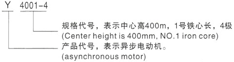 西安泰富西玛Y系列(H355-1000)高压舟山三相异步电机型号说明